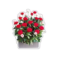 tHgWCV[@o@XPT|UT@XPT|UT@P