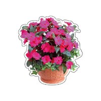 tHgWCV[@Cp`FX@XPT|VV@XPT|VV@P