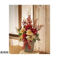 �S�[�W���X�|�C���Z�`�A�A�����W�@�U�T����