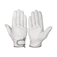 ���M�v��܁@�k�T�C�Y�@�f�s�V�P�W�|�k