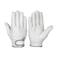 ���M�v��܁@�k�k�T�C�Y�@�f�s�V�P�X�|�k�k�@�f�s�V�P�X�|�k�k�@�P�o