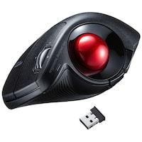 ���C�����X�G���S�g���b�N�{�[���@�l�`�|�v