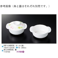 W@Jt~Xg@PPR~RO@PUO@l|QPXqdj@PP[X