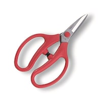 �����t�����o���@�e�k�|�P�U�|�a�o