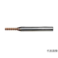 ���d�n�C�w���J���X�N�G�A�G���h�~���i�S��