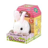 �҂傱�҂傱�͂˂��t���t�����������@