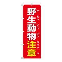 �̂ڂ�@�쐶�������Ӂ@�ԁ@�f�m�a�|�U�V�W�S�@�P��