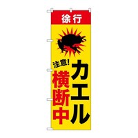 �̂ڂ�@�J�G�����f���@�f�m�a�|�U�W�O�V