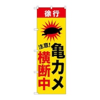 �̂ڂ�@�T�J�����f���@�f�m�a�|�U�W�O�W�@�P��