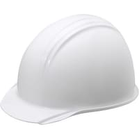 �w�����b�g�@�z���C�g�@�U�X�|�R�O�W�V�|�W�W�@�P��