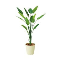 lH؁@gPUO@Xg`A@UP|WPO|UV|Q@UP|WPO|UV|Q@P