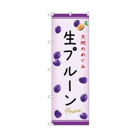 �̂ڂ�@���v���[���@�b�@�T�S�X�U�X