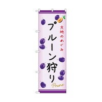 �̂ڂ�@�v���[�����@�b�@�T�S�X�V�P