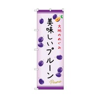 �̂ڂ�@���������v���[���@�b�@�T�S�X�V�Q