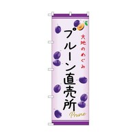 �̂ڂ�@�v���[���������@�b�@�T�S�X�V�X