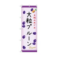 �̂ڂ�@�嗱�v���[���@�b�@�T�S�X�W�P