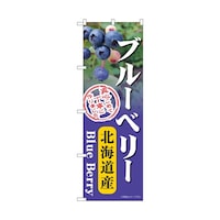 �̂ڂ�@�u���[�x���[�@�k�C���Y�@�T�S�X�W�U�@�P��