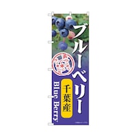 �̂ڂ�@�u���[�x���[�@��t�Y�@�T�S�X�W�X