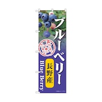 �̂ڂ�@�u���[�x���[�@����Y�@�T�S�X�X�P