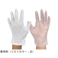 �u�c���@�\�ʌ����p��܁i�E��j�l�@�P�܁i