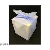 �s�D�z���C�~�@�p�X�e���J���[�@�p�[�v���@�X�O�~�X�O�����@�P�P�[�X�i�P�O�O���~�W�ܓ��j�@�U�X�|�T�S�W�S�|�T�X�@�P�P�[�X