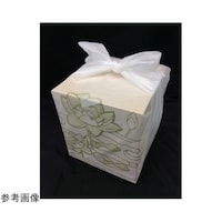 �s�D�z���C�~�@�����@���E�@�@�V�T�~�V�T�����@�P�P�[�X�i�P�O�O���~�P�O�ܓ��j�@�U�X�|�T�S�W�S�|�V�S�@�P�P�[�X