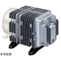 ���j�A�R���v���b�T�@�`�b�P�O�O�u�쓮�@�T�O�^�U�O�g�����p�@�ሳ�p�@�t���[�s�X�g�������@�`�b�O�X�O�Q�@�P��