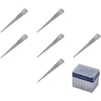 �`�r�@�A�C�r�X�����O�`�b�v�h�|�W�X�U�k�b