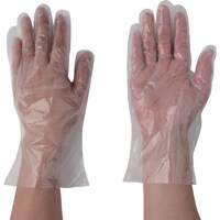 �`�r�@�T�j�����g��܁i�|���p�b�N�j�k