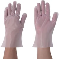 �`�r�@�T�j�����g��܁i�|���p�b�N�j�G���{�X�k