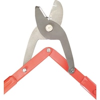 �c�d�m�r�`�m�@�`�����l���X�s�[�h�J�b�^�[�@�֐n