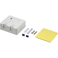 �c�d�m�r�`�m�@�}�E���g�{�b�N�X