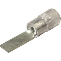 �j�`�t�@���z���`�@�≏�핢�t�����[�q�@�i�a�s�`�j