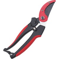 �f�r�@�A���~���G�b�W�t�������Q�O�O����