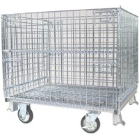 �T���L���@�T���L���p���b�g�@�P�T�O�����L���X�^�[�t