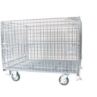 �T���L���@�T���L���p���b�g�@�P�T�O�����L���X�^�[�t