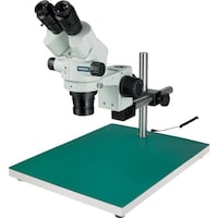 �g�n�y�`�m�@���̌�����