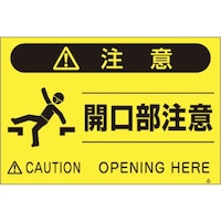 �����@�u���W���u�J�������Ӂv