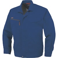�R�[�R�X�@�����u���]���`�|�V�U�P�@�U�c�A�Y�[���@�k