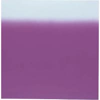 �s�j�f�@���C�~�i�C�����f�V���@�Q�S�Ёi�P�O�����j�@