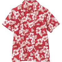 �A�C�g�X�@�A���n�V���c�i�n�C�r�X�J�X�j�i�j�����p�j