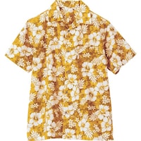 �A�C�g�X�@�A���n�V���c�i�n�C�r�X�J�X�j�i�j�����p�j