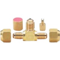 �^�X�R�@�q�S�P�O�`�p�t���A�e�B�R�l�N�^�[