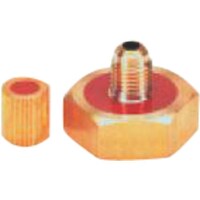 �^�X�R�@�{���x�A�_�v�^