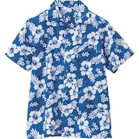 �A�C�g�X�@�A���n�V���c�i�n�C�r�X�J�X�j�i�j�����p�j