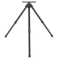 �^�X�R�@�x�[�X�O�r