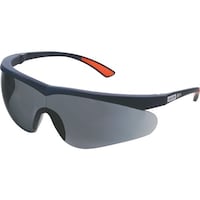 �V�Q�}�c�@�X�y�N�^�N���`�ی�߂��ˁ@�d�d�|�P�P�r�i