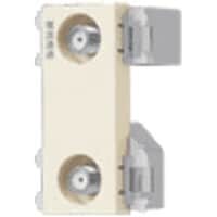 �o�����������������@�������V�[���h�s�u�^�[�~�i���Q