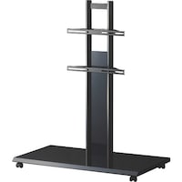 �g�`�l�h�k�d�w�@�t���A�[�X�^���h