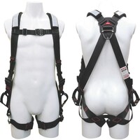 �l�`�q�u�d�k�@�t���n�[�l�X�@�X�^���_�[�h�^�C�v�k